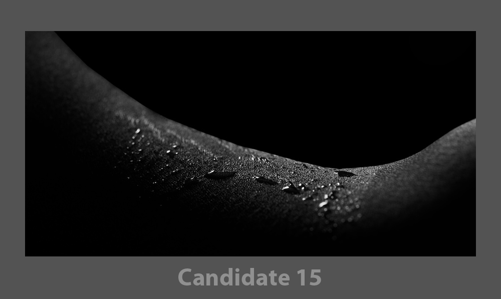 Candidate15